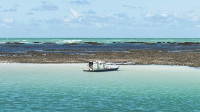 Guia do Turismo em Recife