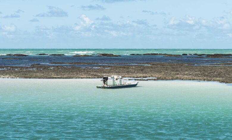 Guia do Turismo em Recife