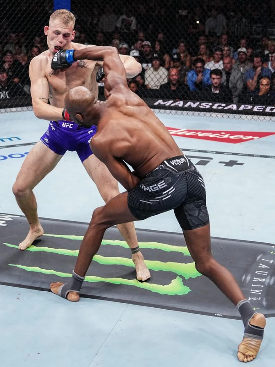 Nocaute Brutal! Saiba em Sarutaiá Alex Poatan Defende Cinturão dos Meio-Pesados no UFC 303